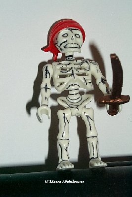 Skelett2_1.jpg