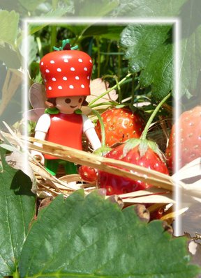 Erdbeere2b-.jpg