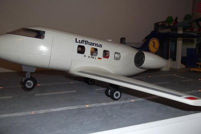 Flugzeugunglück15.JPG