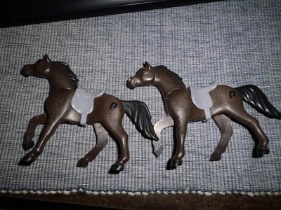 Pferde.JPG