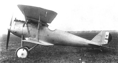 Elise Felix 7 altes Flugzeug Pfalzdiiia.jpg