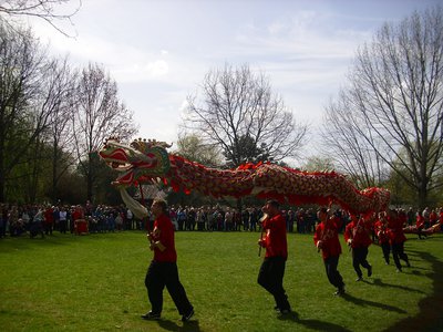 Kirschblüten China3.JPG