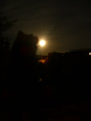 Mond2.JPG