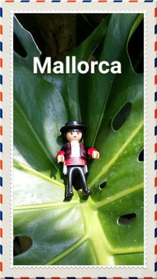 Mallorca 11 - klein.jpg