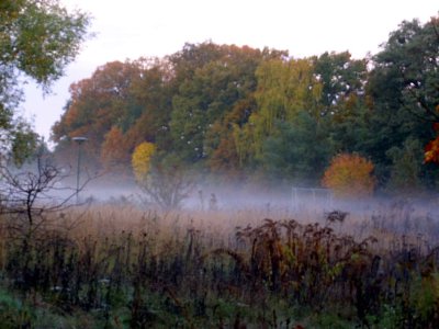 Nebel1.JPG