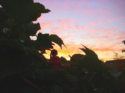 Sonnenaufgang (1).JPG