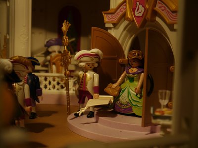 Schloßmuseum Greiz 25.) 'Dornröschen' Elise playmobil 1000872.jpg