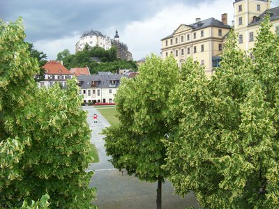 Schloßmuseum Greiz 4.) Elise  playmobil 1702 Oberes Schloß.jpg