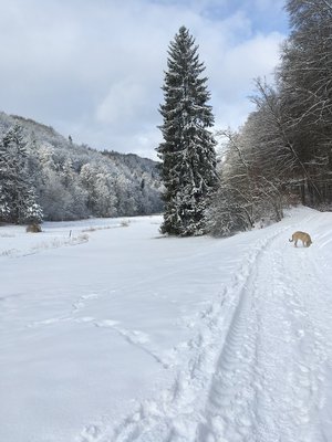 Schweiz 2.jpg