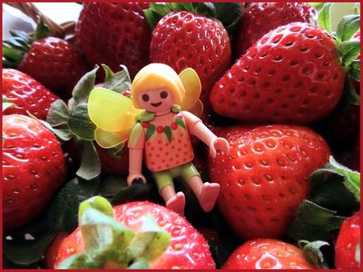 Erdbeerelfe (2).JPG