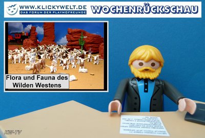 PM_WRückschau_15-13.jpg