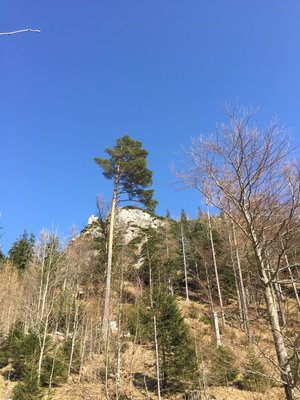 wandern9.jpg