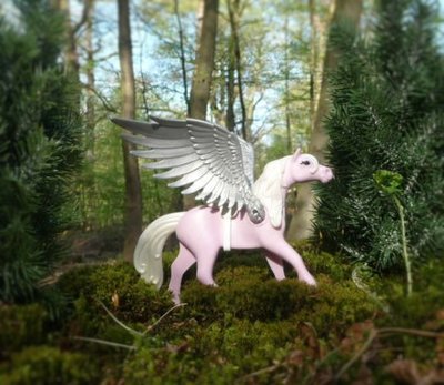 Pegasus (1).JPG