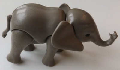 Elefant_01.jpg