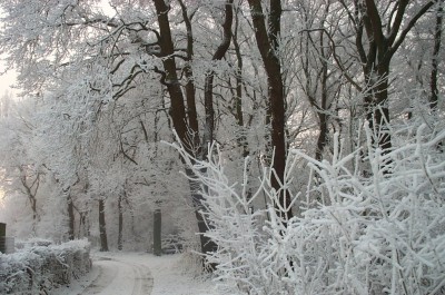 Winter 2007.jpg