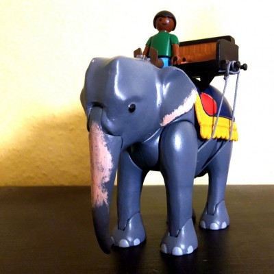 Elefant 1.jpg
