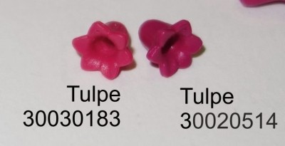 Tulpen.jpg