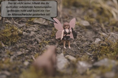 K2S2-13_bearbeitet mit Text klein.jpg