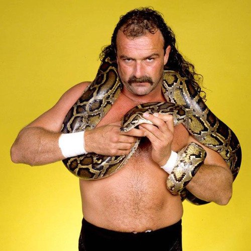 Jake Roberts 2.jpg