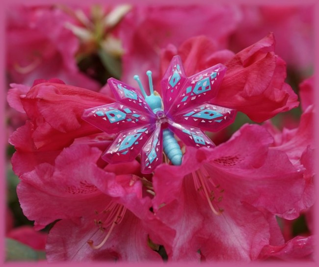 Rhododendron1.jpg