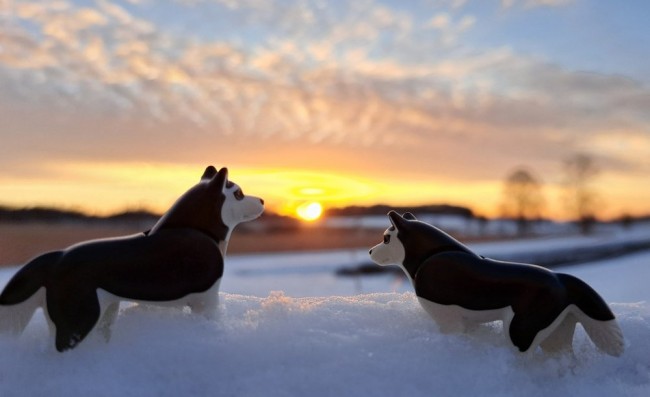 Schneespaziergang_klein.jpg