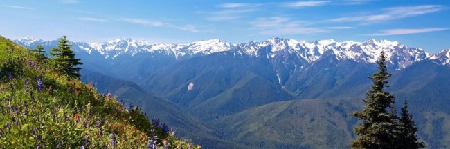 Bild 2a Hurricane Ridge.JPG