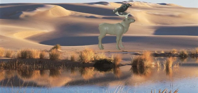 Bild 7 Marsch durch Oregon Dunes.JPG