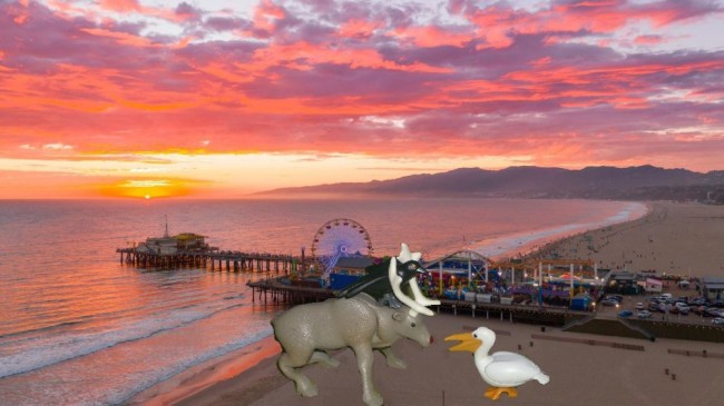 Bild 4 Santa Monica Pier Pelikan-Geschichte.jpeg