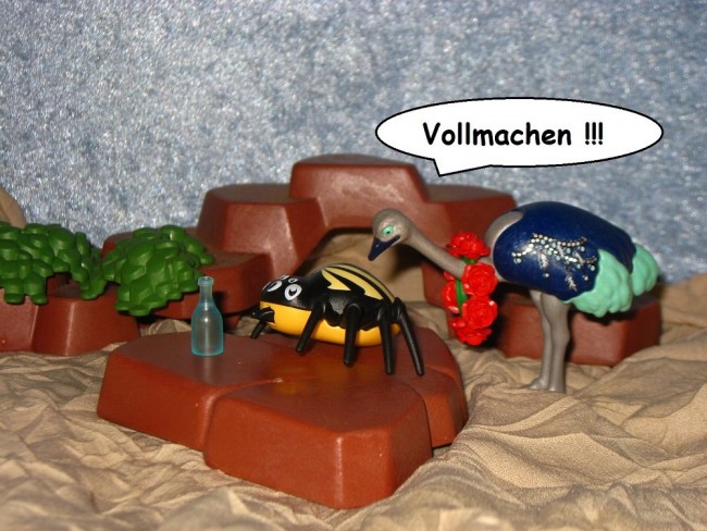 a-voll1.jpg