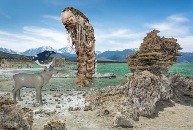 Bild 1 Mono Lake.JPG