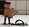 Benutzeravatar