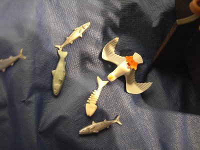 ARegattaForum91.jpg (146.71 KiB) 1409 mal betrachtet ARegattaForum91.jpg