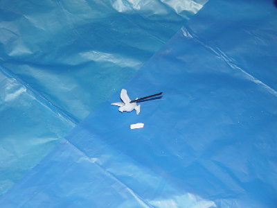 regatta 2.runde 017.jpg (160.23 KiB) 1669 mal betrachtet regatta 2.runde 017.jpg