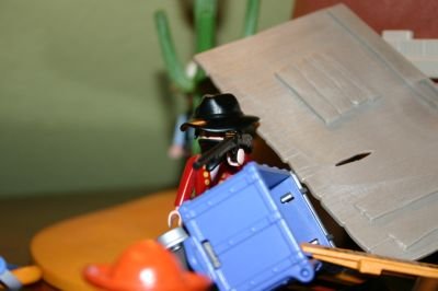 playmo432_947.jpg