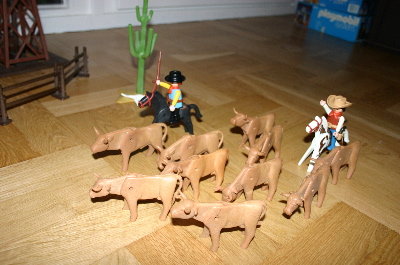 playmo488.jpg
