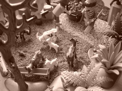 DSC02894.JPG (162.26 KiB) 1730 mal betrachtet DSC02894.JPG