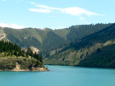 wellington.jpg
