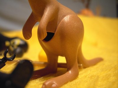 ARegattaForum208.jpg (69.07 KiB) 856 mal betrachtet ARegattaForum208.jpg