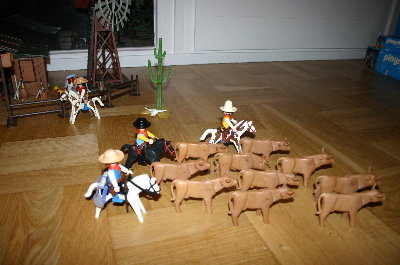 playmo527.jpg