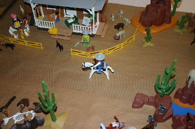 playmo536.jpg