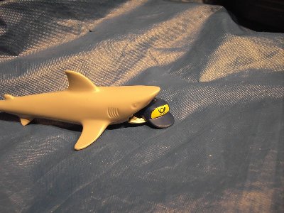 ARegattaForum237.jpg (129.96 KiB) 482 mal betrachtet ARegattaForum237.jpg