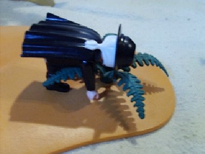 kk-SD531623.JPG