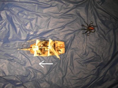 ARegattaForum262a.JPG (52.86 KiB) 483 mal betrachtet ARegattaForum262a.JPG