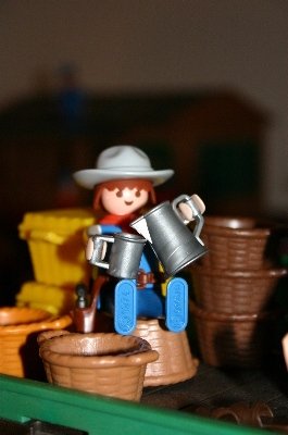 playmo636.jpg