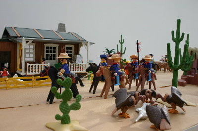playmo641.jpg