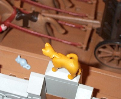 Katze.JPG