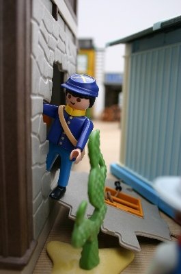 playmo696.jpg