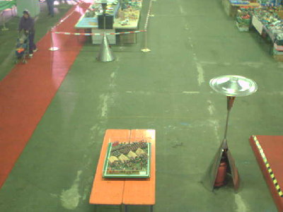 halle32033.jpg (21.2 KiB) 1165 mal betrachtet halle32033.jpg