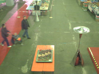 halle32034.jpg (22.39 KiB) 1279 mal betrachtet 20:34<br />Familie?