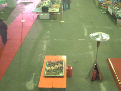 halle32120.jpg (21.62 KiB) 1151 mal betrachtet halle32120.jpg